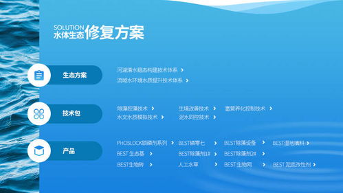 易企宣助力澳洲上市公司林澤圣泰中國區網站策劃開發，專業服務廈門中小企業網站建設